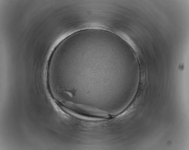 X0000097491144200802221409