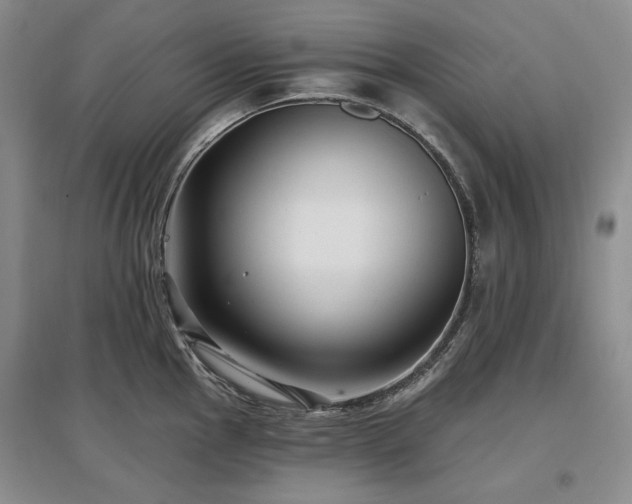 X0000097491145200802221409