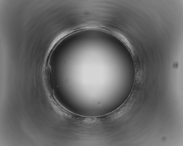 X0000097491146200802221409