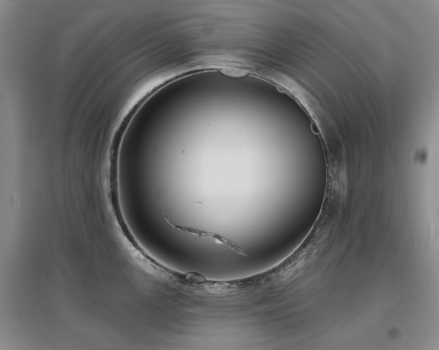 X0000097491147200802221409