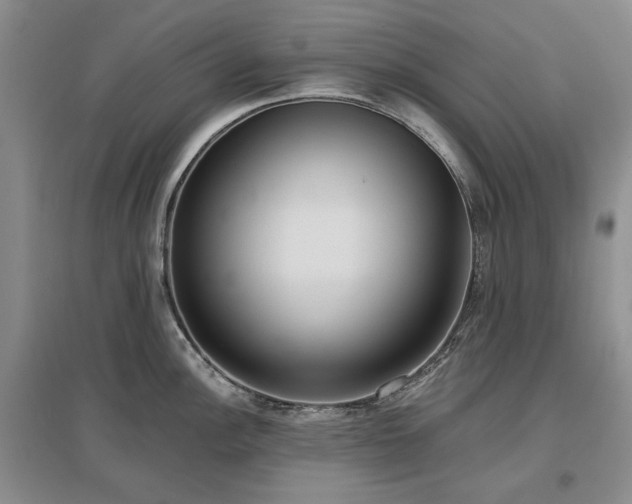 X0000097491148200802221409