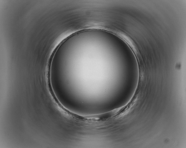 X0000097491149200802221409