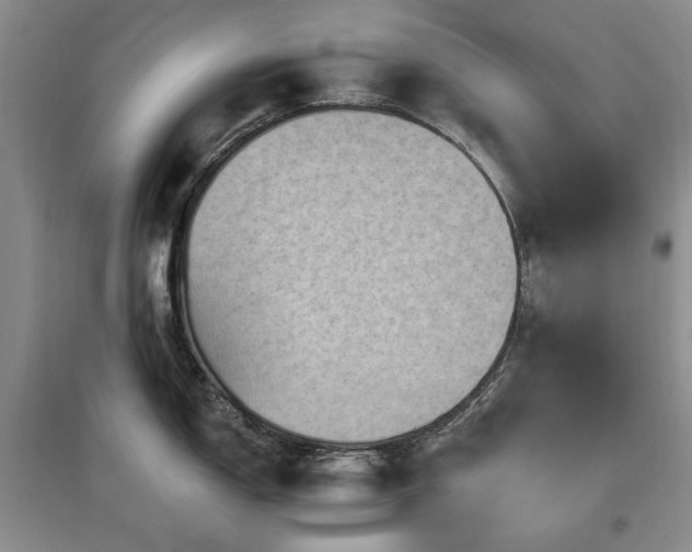 X0000097491150200802221409