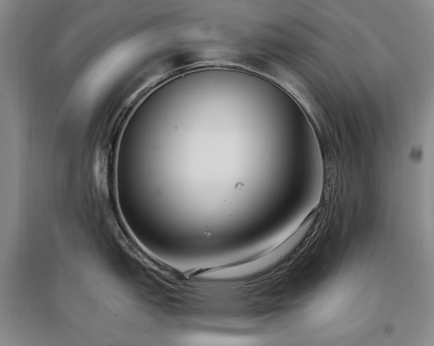 X0000097491151200802221409