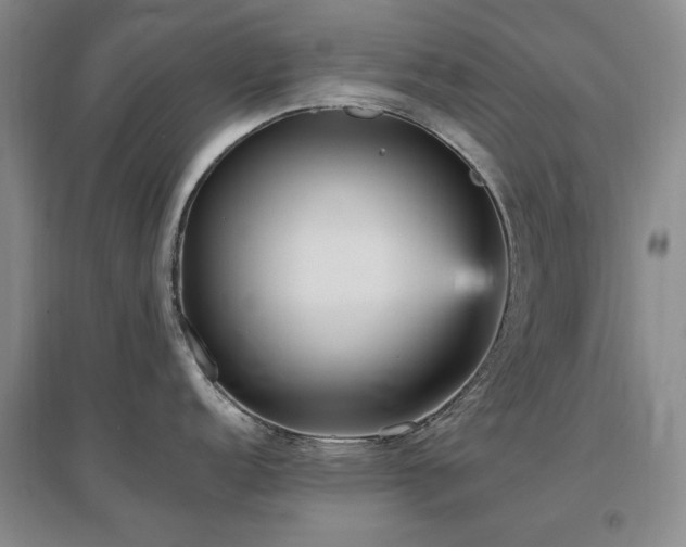 X0000097491152200802221409