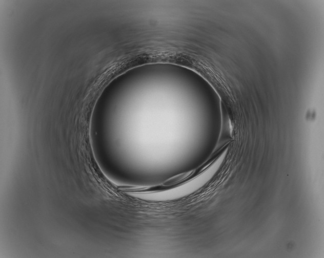 X0000097491153200802221409