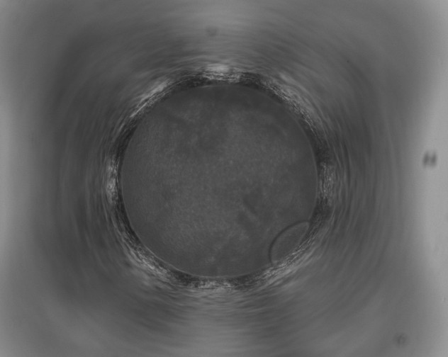 X0000097491154200802221409