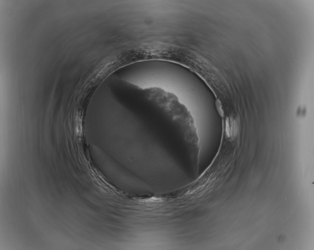 X0000097491155200802221409