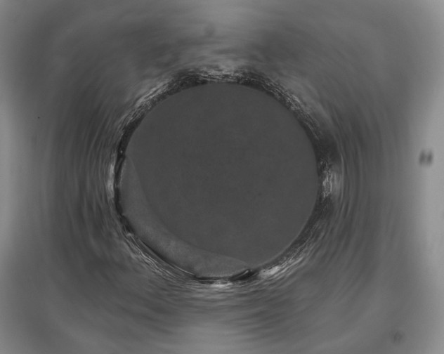 X0000097491156200802221409