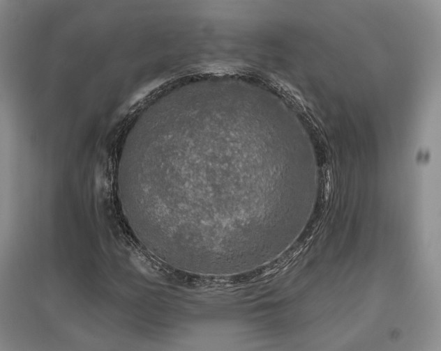 X0000097491158200802221409