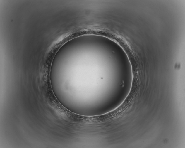 X0000097491159200802221409