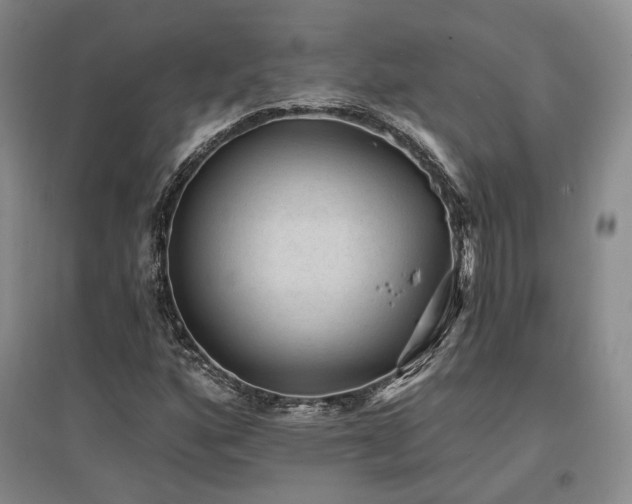X0000097491160200802221409