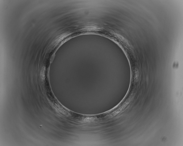 X0000097491161200802221409