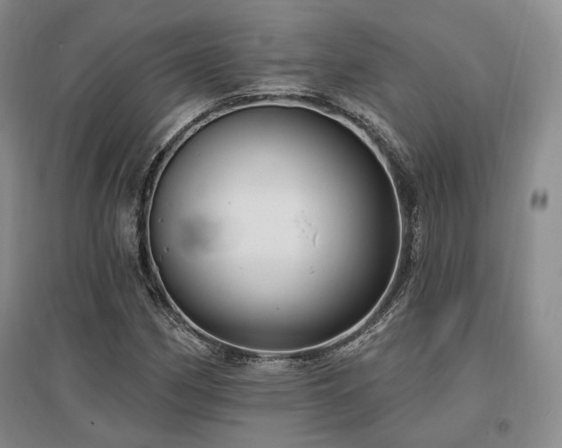 X0000097491162200802221409
