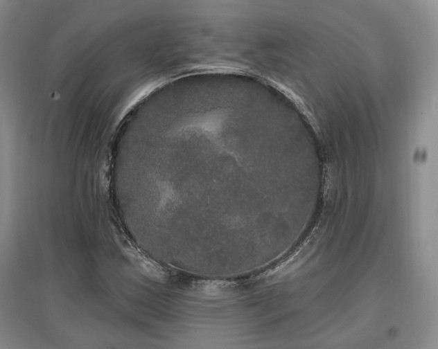 X0000097491163200802221409
