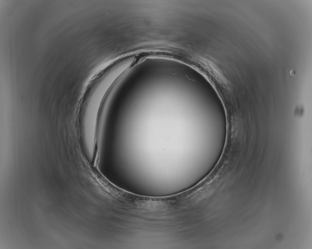 X0000097491164200802221409