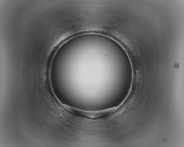 X0000097491165200802221409