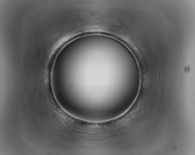 X0000097491167200802221409