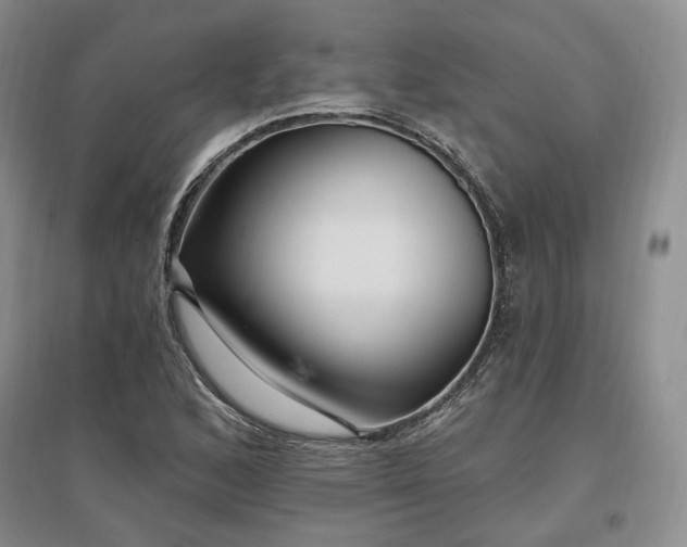 X0000097491168200802221409