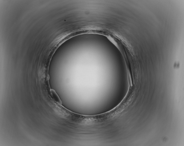 X0000097491169200802221409