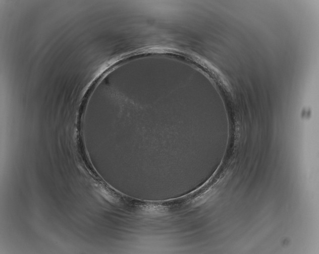 X0000097491170200802221409