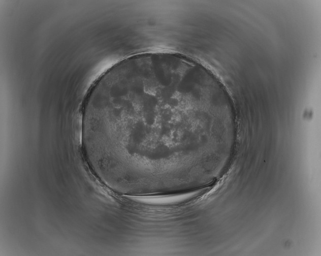 X0000097491171200802221409