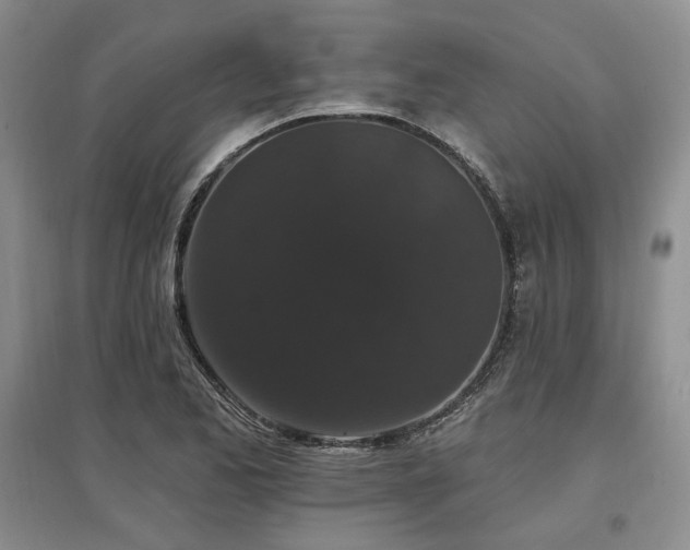 X0000097491173200802221408