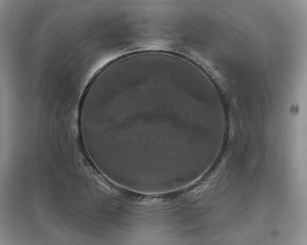 X0000097491174200802221408