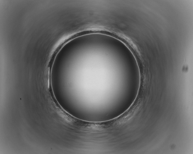 X0000097491175200802221408