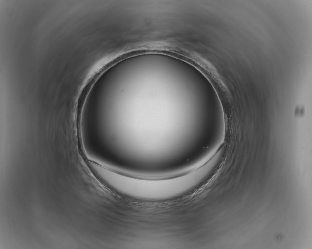 X0000097491176200802221408