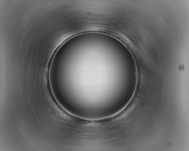 X0000097491178200802221408