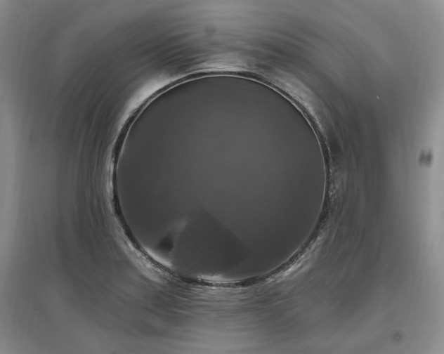 X0000097491179200802221408