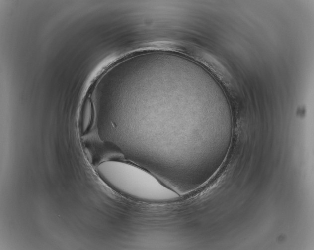 X0000097491180200802221408