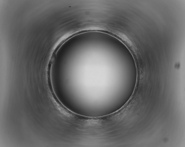 X0000097491181200802221408