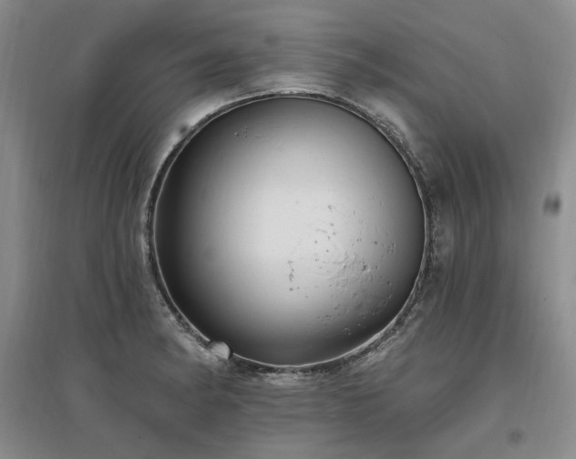 X0000097491182200802221408