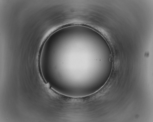 X0000097491183200802221408