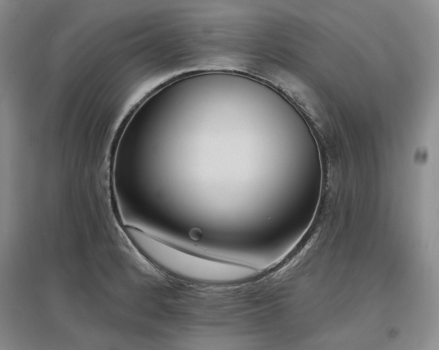 X0000097491184200802221408