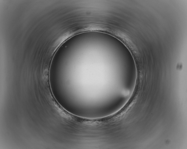 X0000097491185200802221408