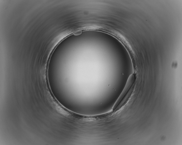 X0000097491186200802221408
