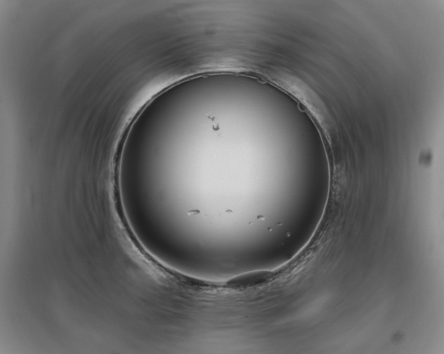 X0000097491187200802221408