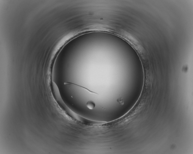 X0000097491188200802221408