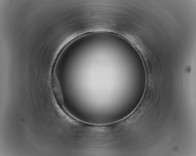 X0000097491189200802221408
