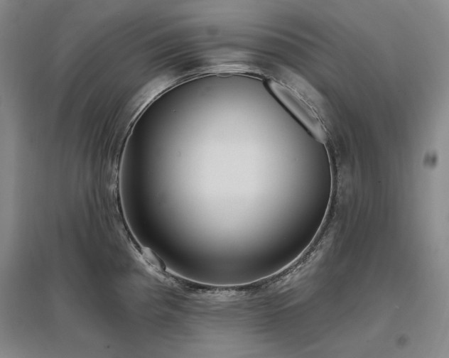 X0000097491193200802221408