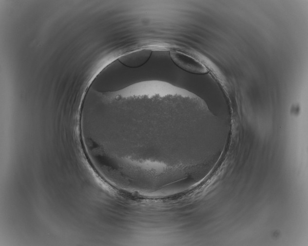 X0000097491194200802221408