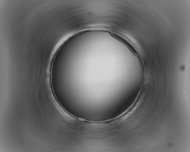 X0000097491196200802221408