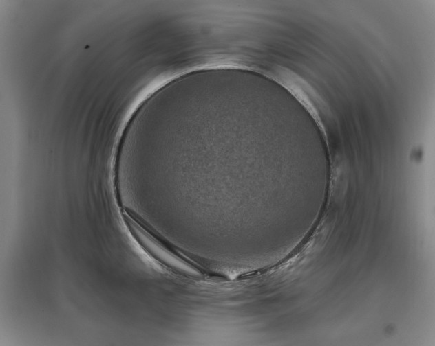 X0000097491197200802221408