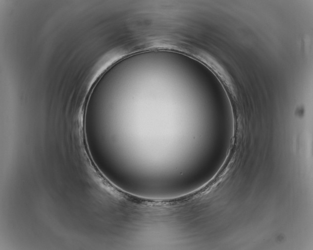 X0000097491198200802221408