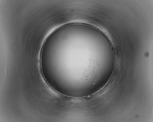 X0000097491199200802221408