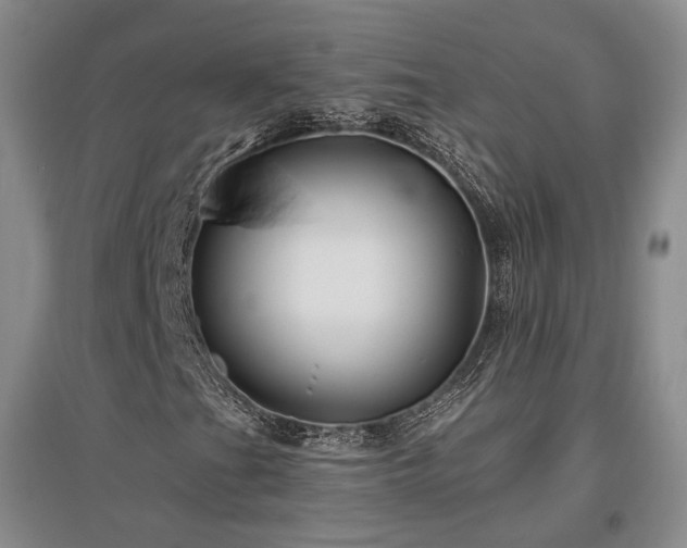 X0000097491201200802221407