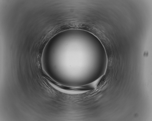 X0000097491202200802221407